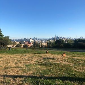 Meet your Posher, Juan